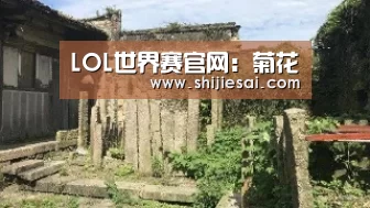 LOL世界赛官网:菊花(图3) 全球总决赛官网